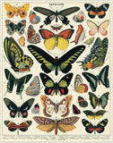 Cavallini Papers & Co. Butterflies 1,000 Piece Puzzle