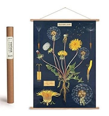 Cavallini Decorative Wrap Poster Set - DIY Vertical Poster Kit and Dandelion Wrapping Paper Poster