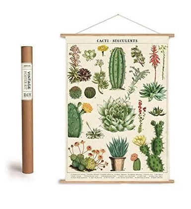 Cavallini Decorative Wrap Poster Set - DIY Vertical Poster Kit and Succulent Wrapping Paper Poster