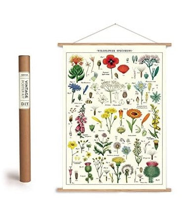 Cavallini Decorative Wrap Poster Set - DIY Vertical Poster Kit and Wildflower Wrapping Paper Poster