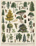 Cavallini & Co 1,000 Piece Puzzle - Trees