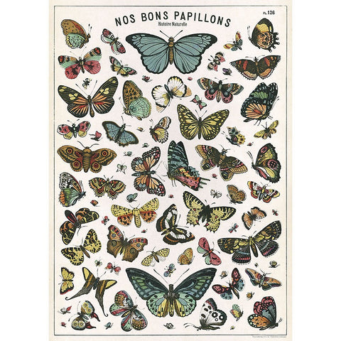 Cavallini - Butterflies - Wrapping Paper / Poster