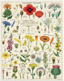 Cavallini Papers & Co. Wild Flowers 1,000 Piece Puzzle
