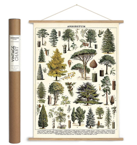 Cavallini Decorative Wrap Poster Set - DIY Vertical Poster Kit and Areboretum Wrapping Paper Poster