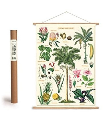 Cavallini Decorative Wrap Poster Set - DIY Vertical Poster Kit and Tropical Plants Wrapping Paper Poster