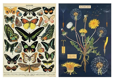Cavallini Wrap - Butterflies & Dandelion - 2 x Poster Set - 20 x 28" Wrap