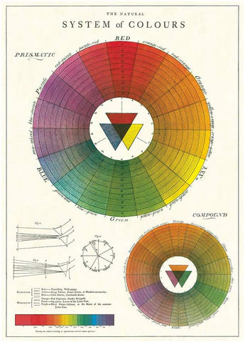 Cavallini - Colour Wheel - Wrapping Paper / Poster