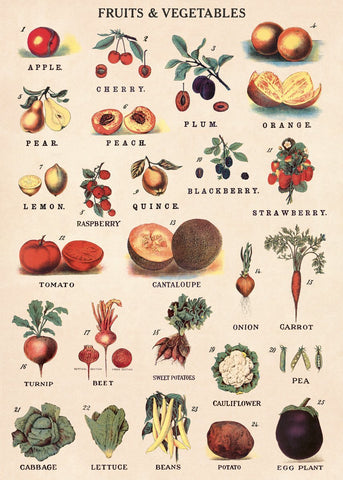 Cavallini - Fruits & Vegetables - Wrapping Paper / Poster