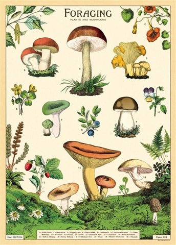 Cavallini - Forage - Wrapping Paper / Poster