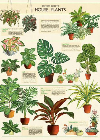 Cavallini - House Plants - Wrapping Paper / Poster