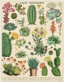 Cavallini & Co 1,000 Piece Puzzle - Succulents and Cacti