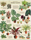 Cavallini & Co 1,000 Piece Puzzle - House Plants